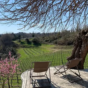 Affittacamere Ca'vittoria - Prosecco Experience - Unesco, Conegliano